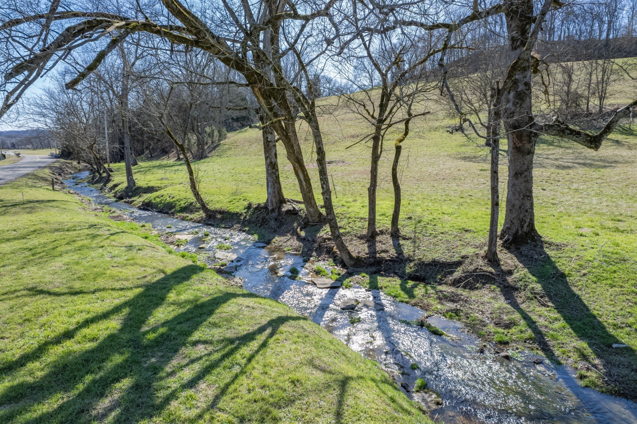 Photo of Listing #3136768