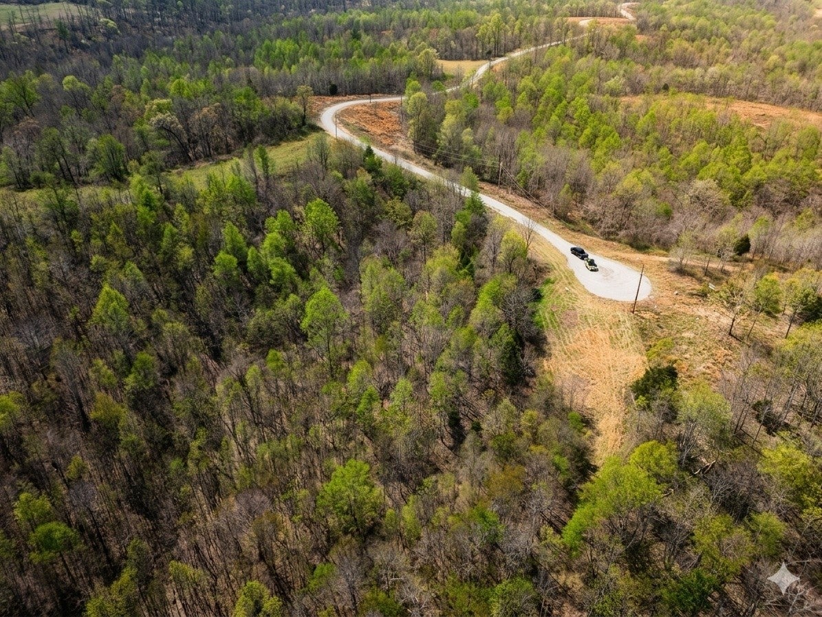 Photo of Listing #3137533