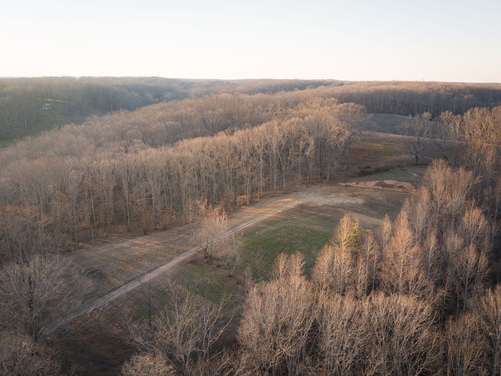 Photo of Listing #3137732