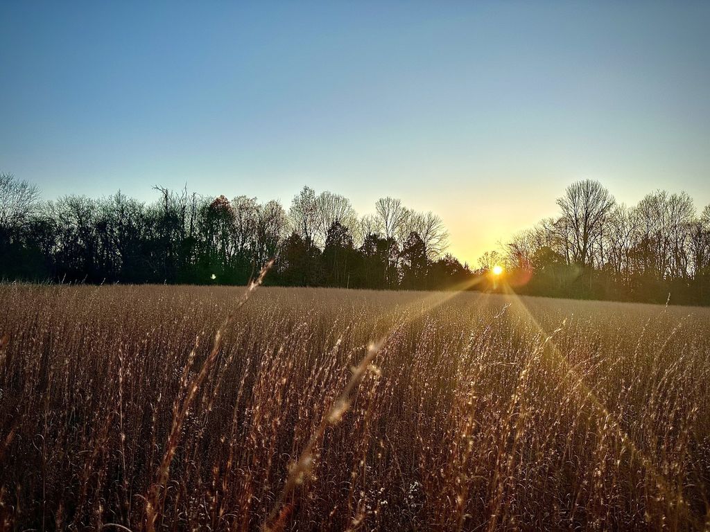 0 Owl Hollow Rd, Franklin