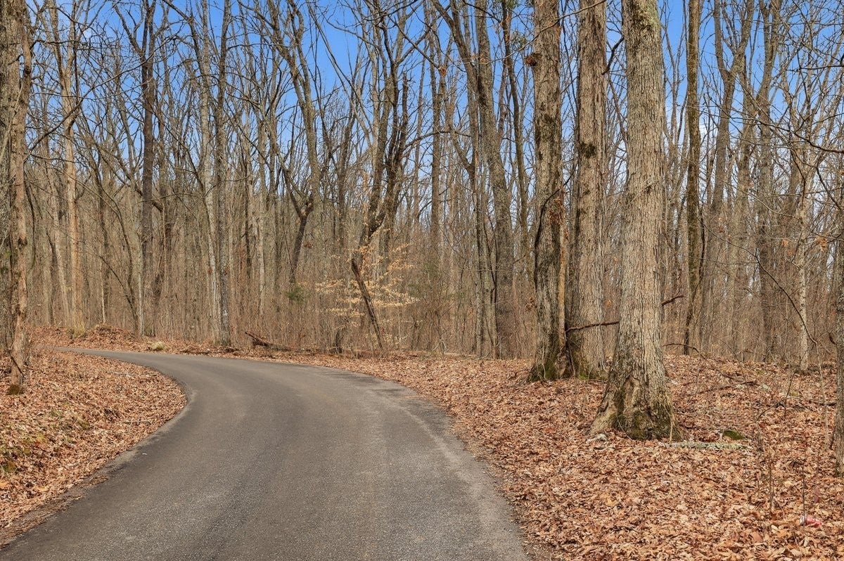 Photo of Listing #3137899