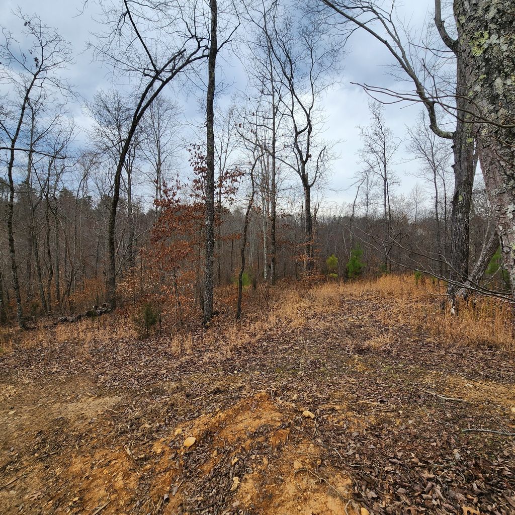 584 Back Bone Rd, Sparta