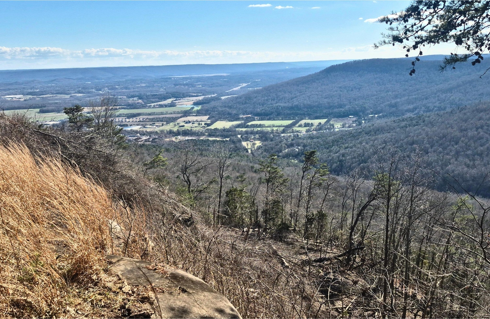 Photo of Listing #3138092