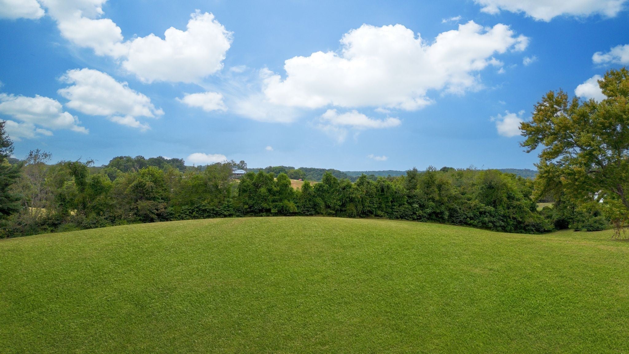 Photo of Listing #3138116