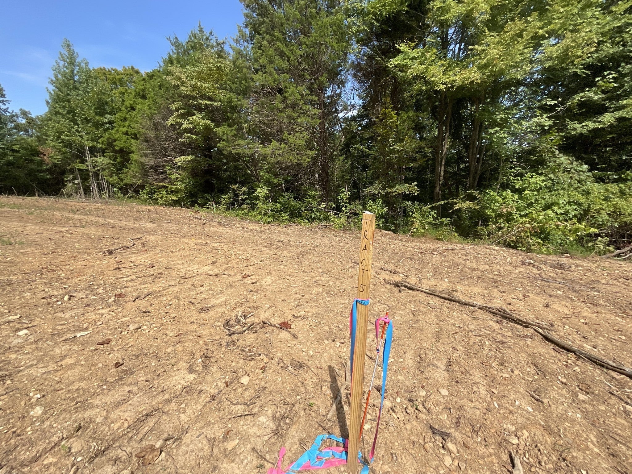 Photo of Listing #3138147