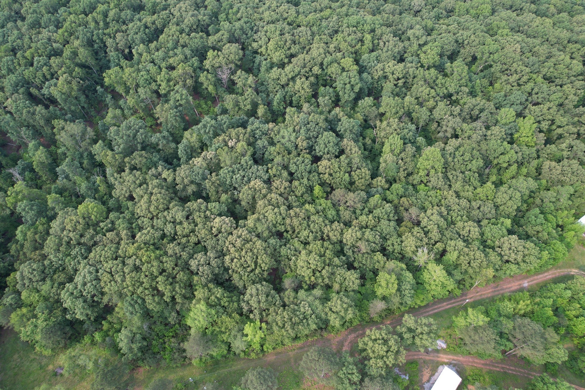 Photo of Listing #3138321