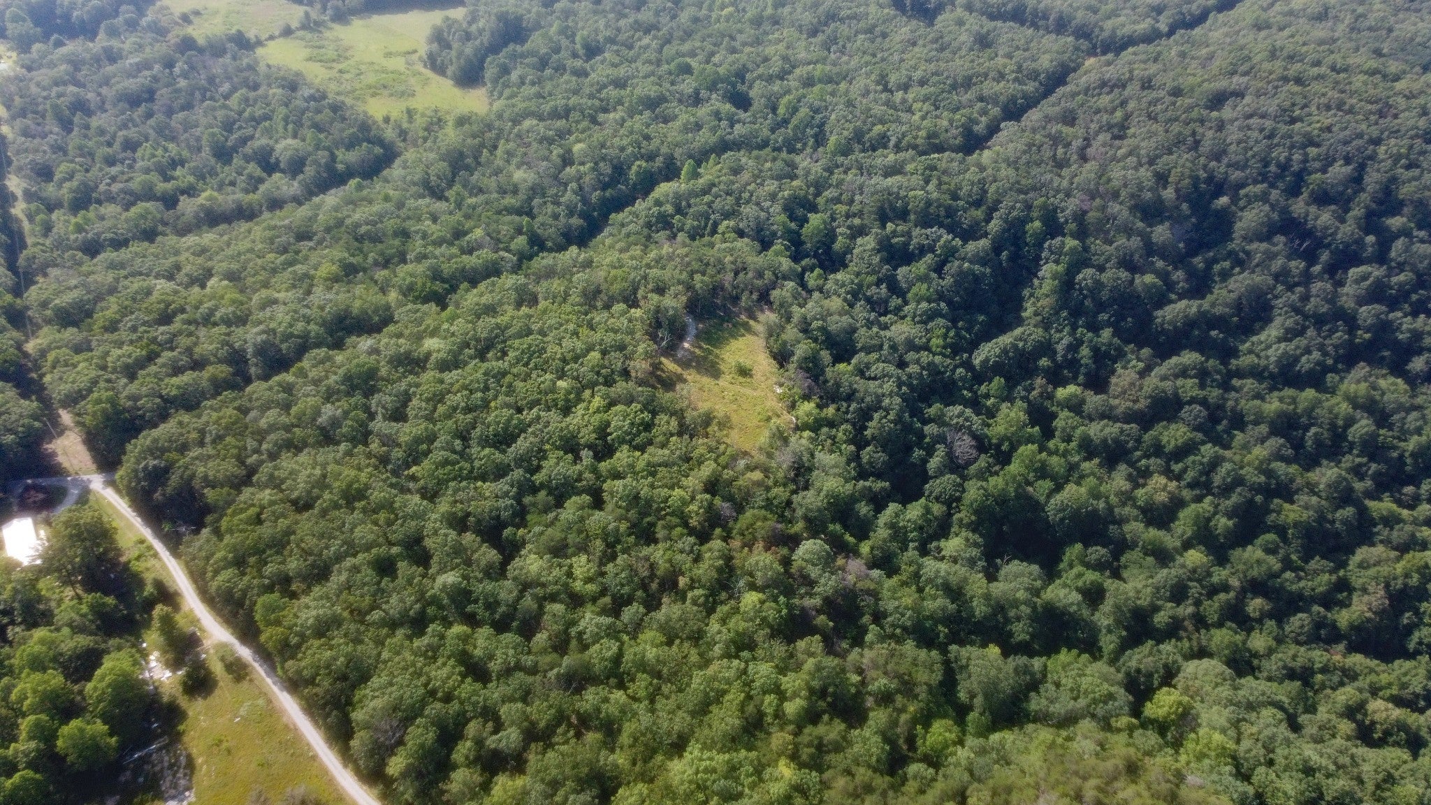 Photo of Listing #3138456