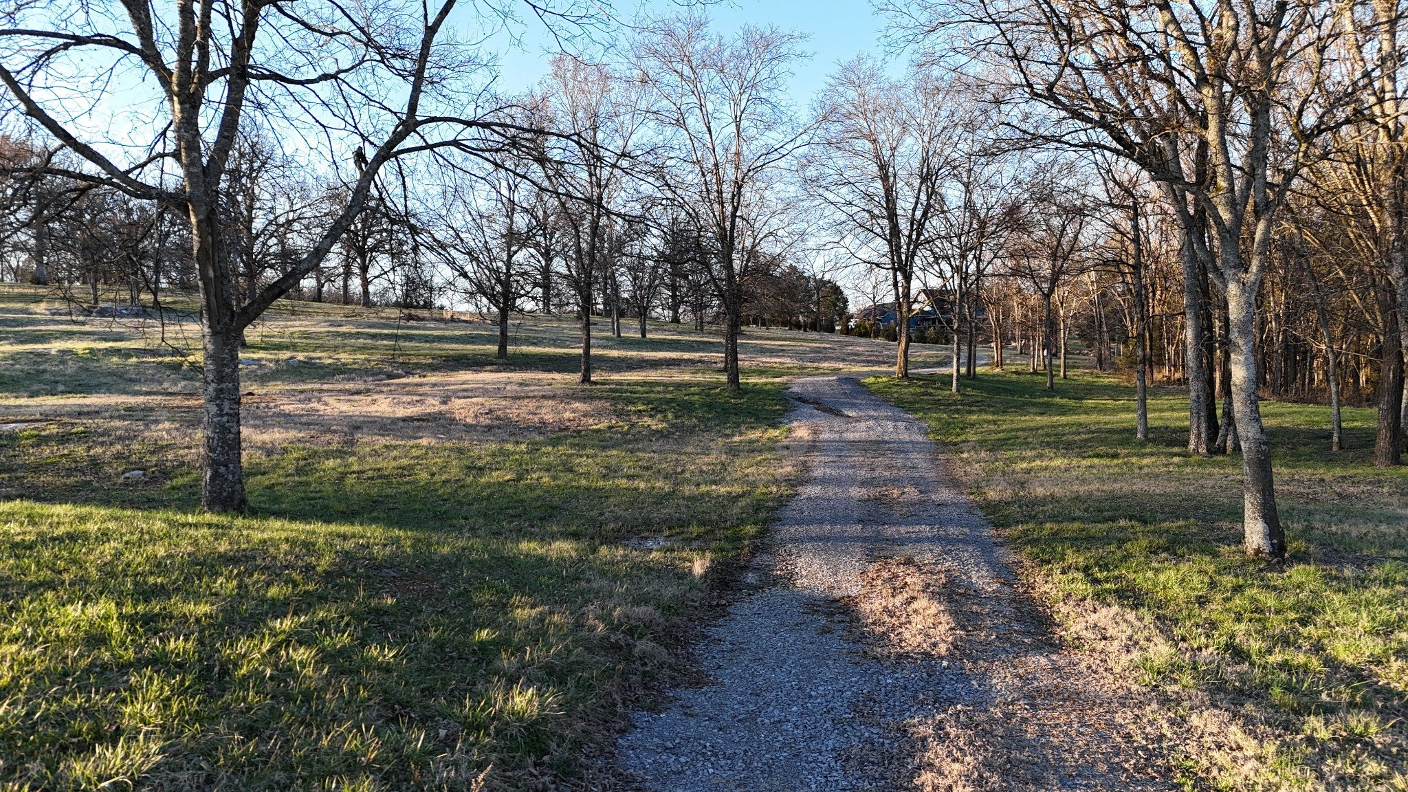 Photo of Listing #3138593