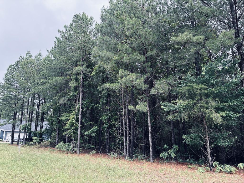 3525 Crockett Point, Jasper