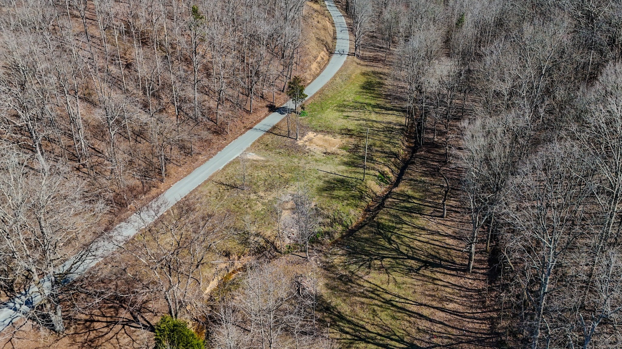 Photo of Listing #3138974