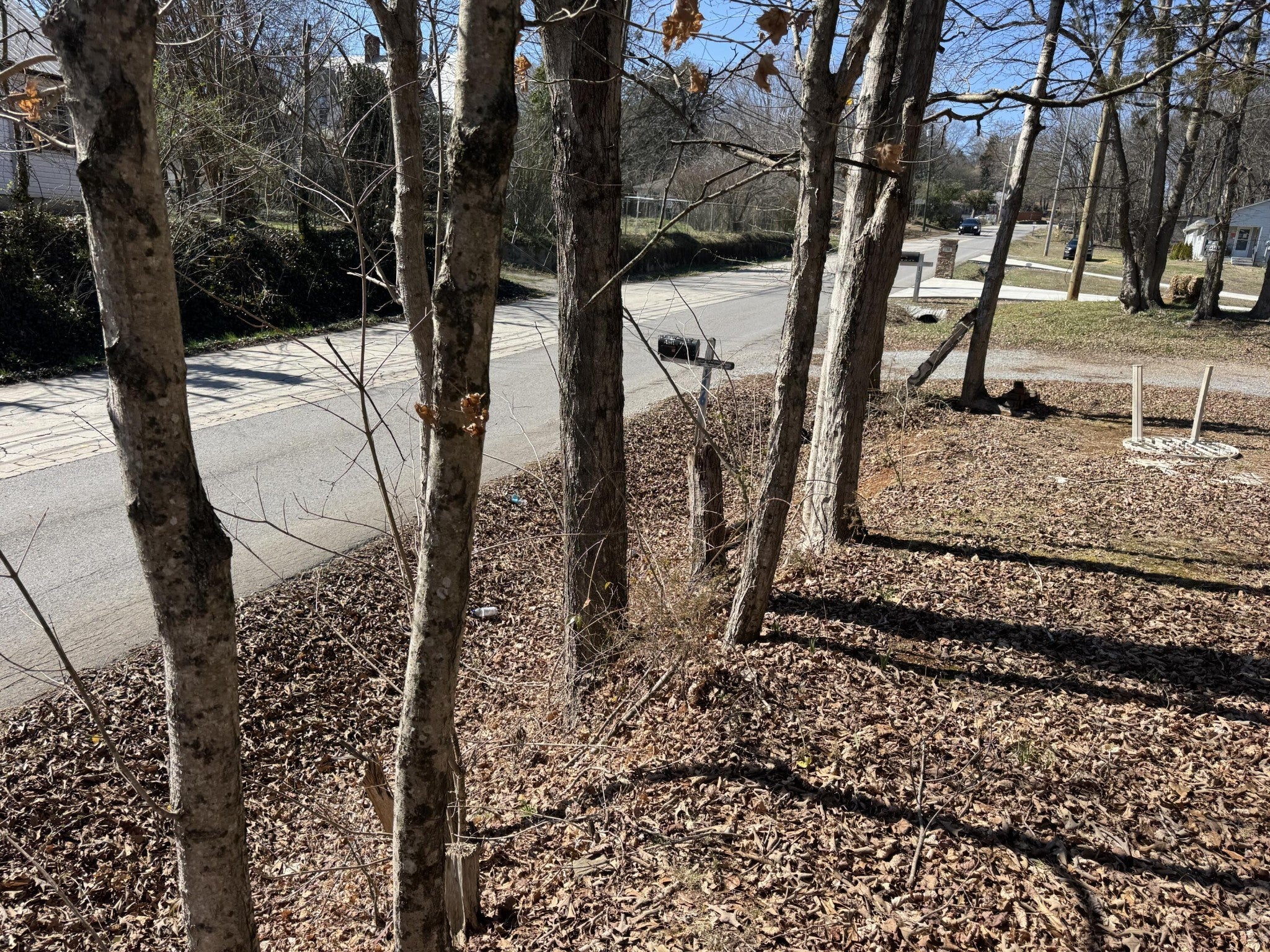 Photo of Listing #3139048