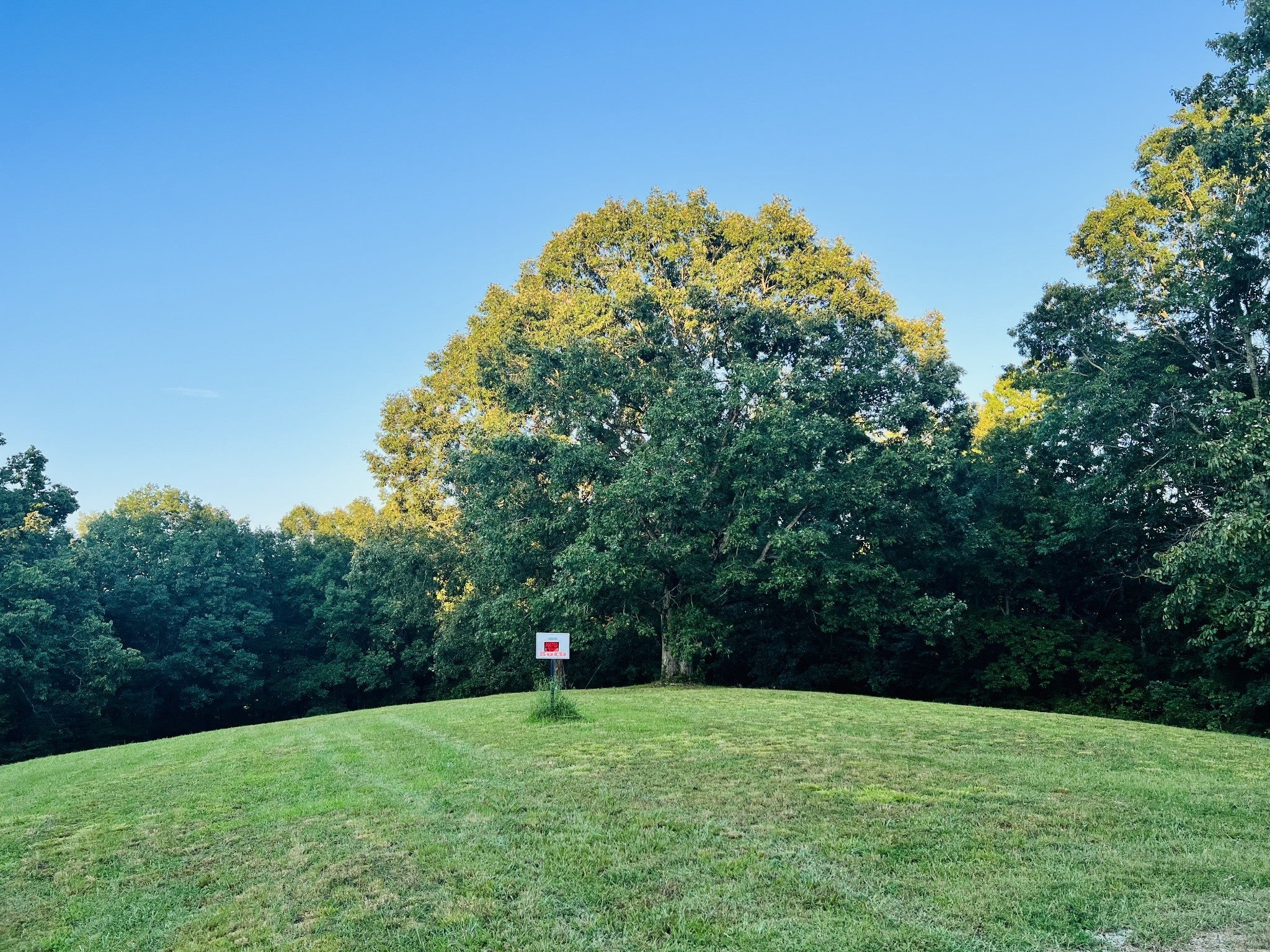 Photo of Listing #3139715