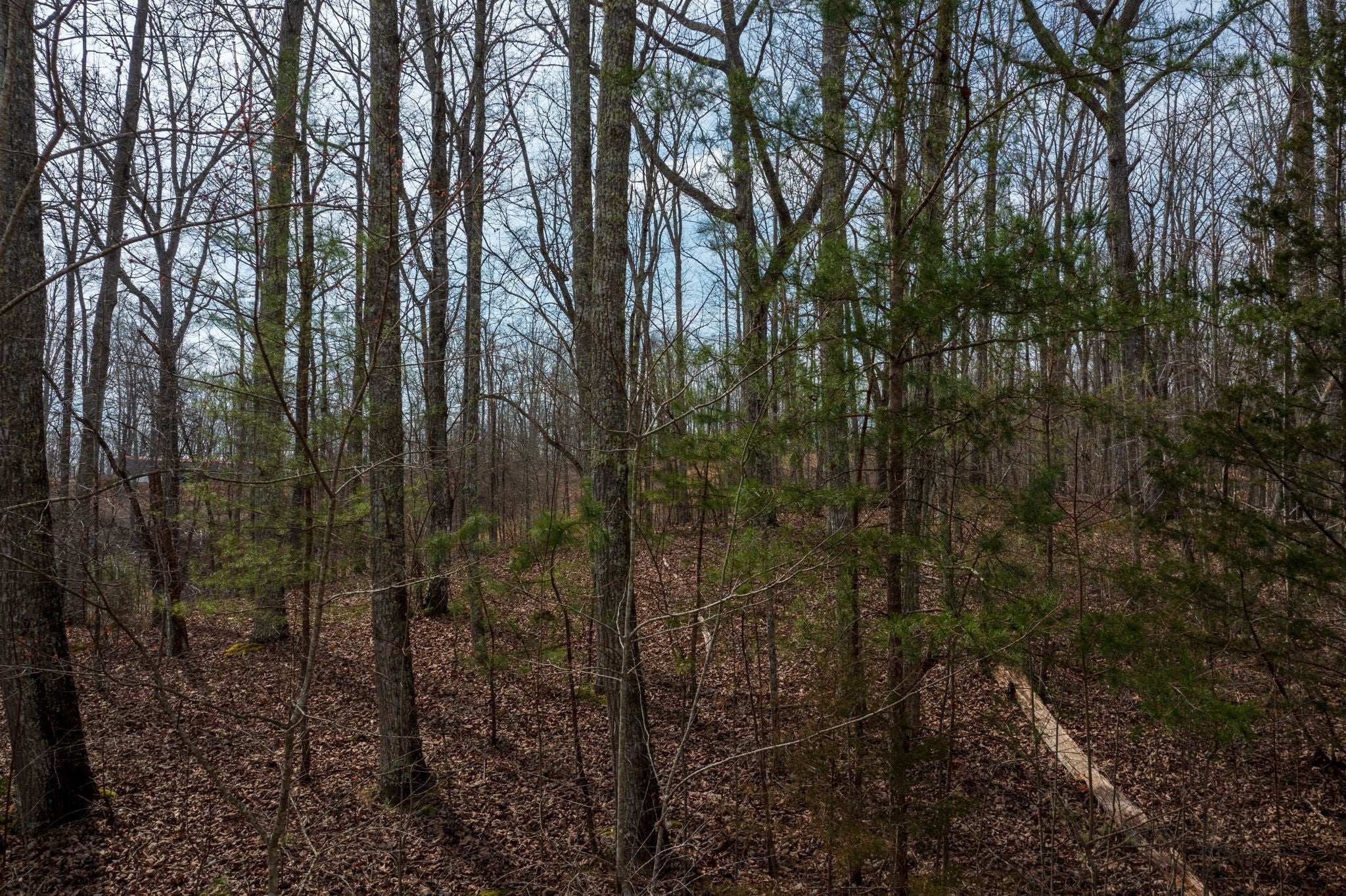 Photo of Listing #3139749