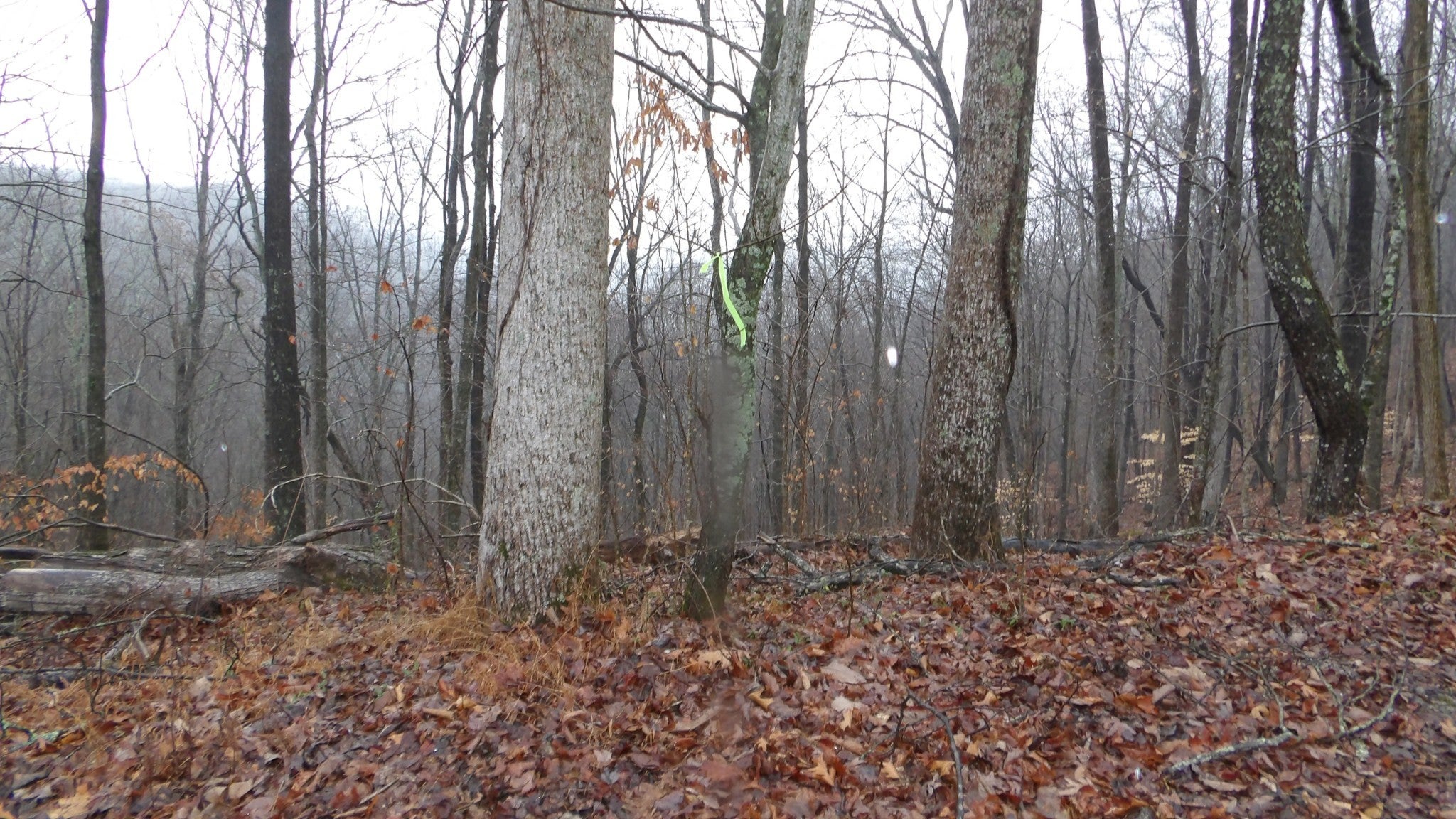 Photo of Listing #3139809