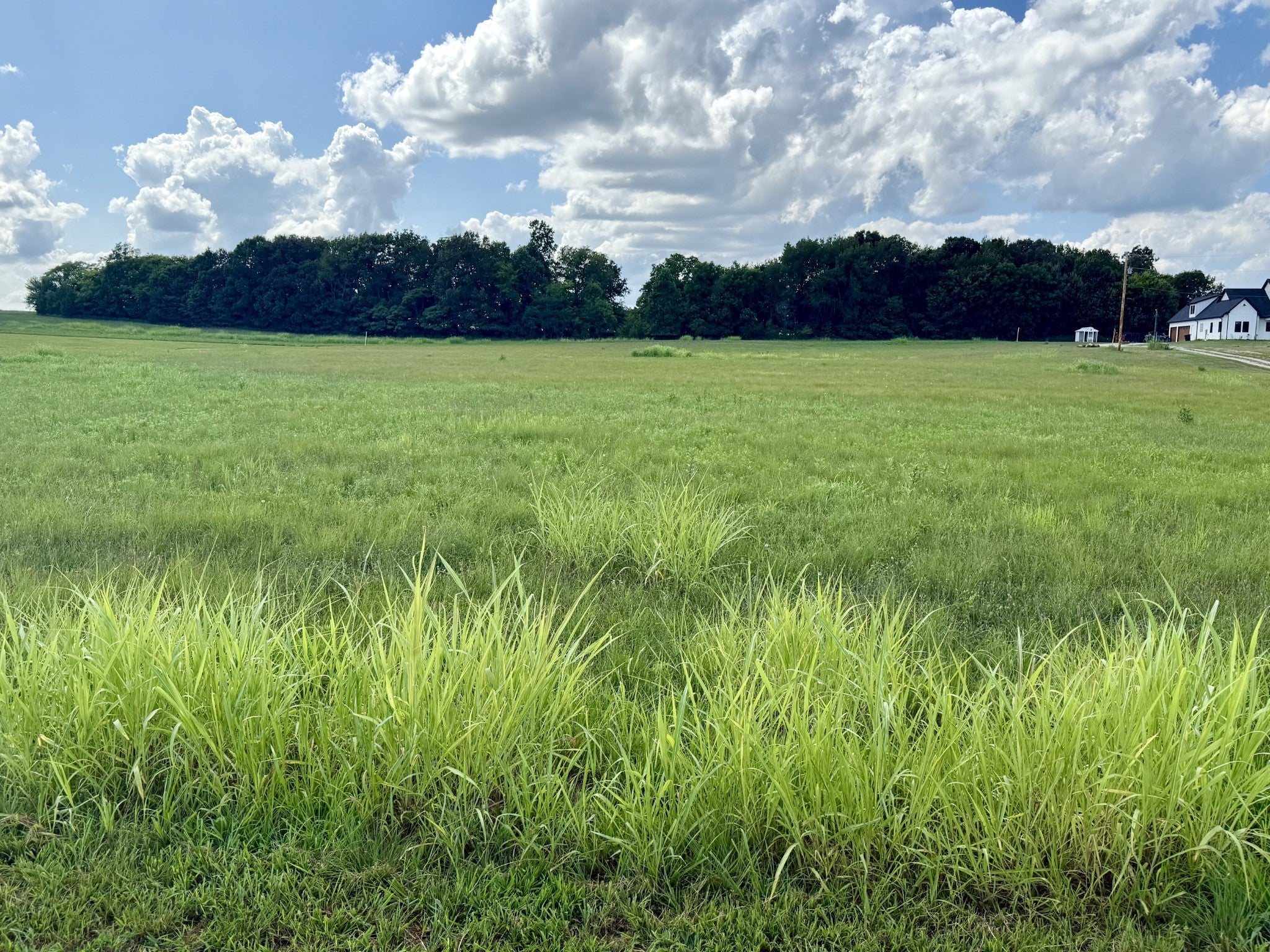 Photo of Listing #3144964