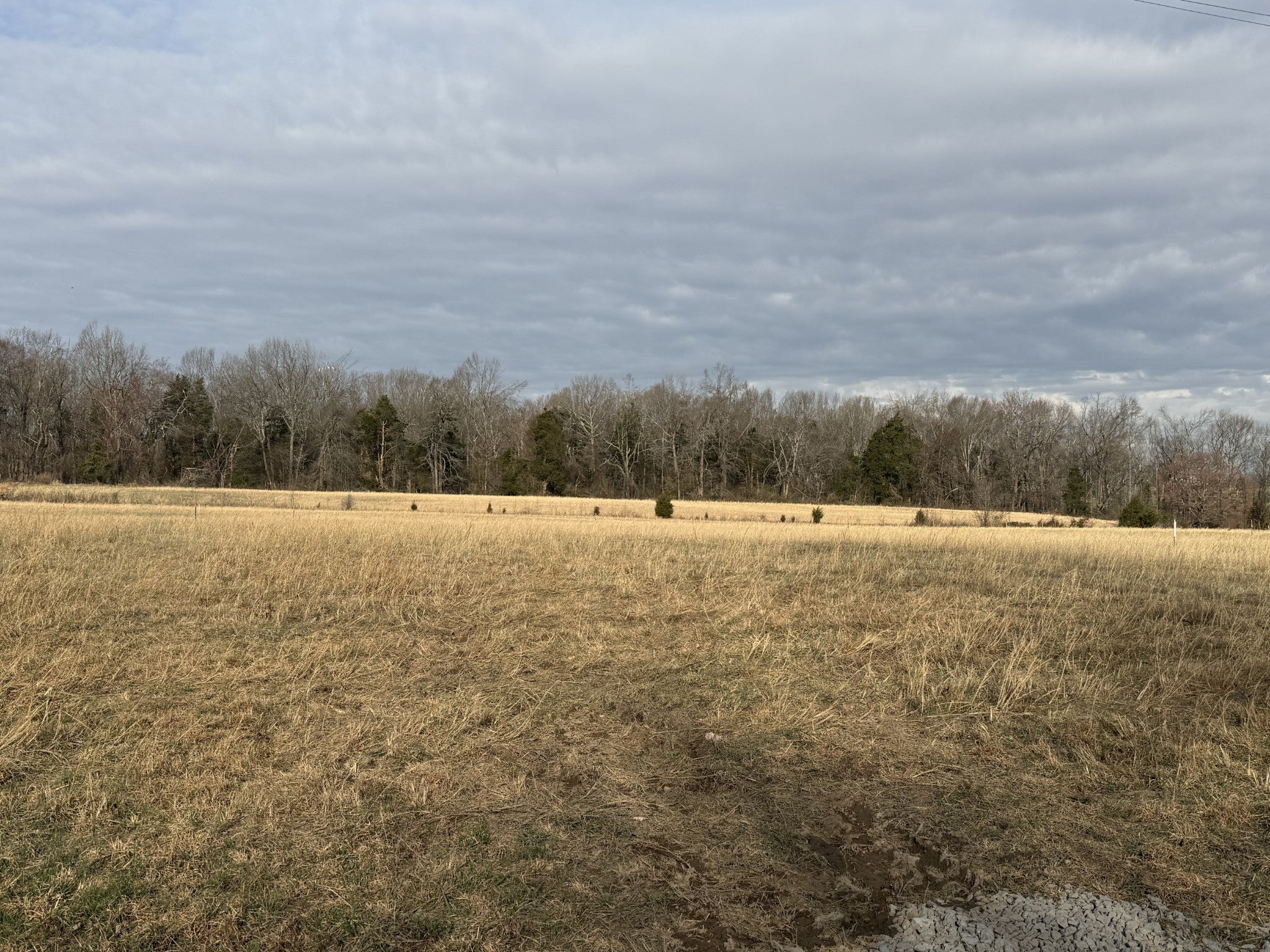 Photo of Listing #3145047