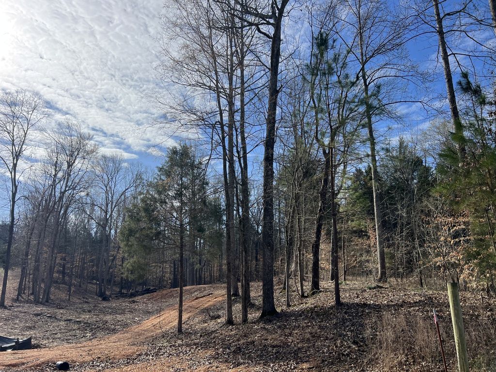 0 Excalibur Trail, Cedar Grove