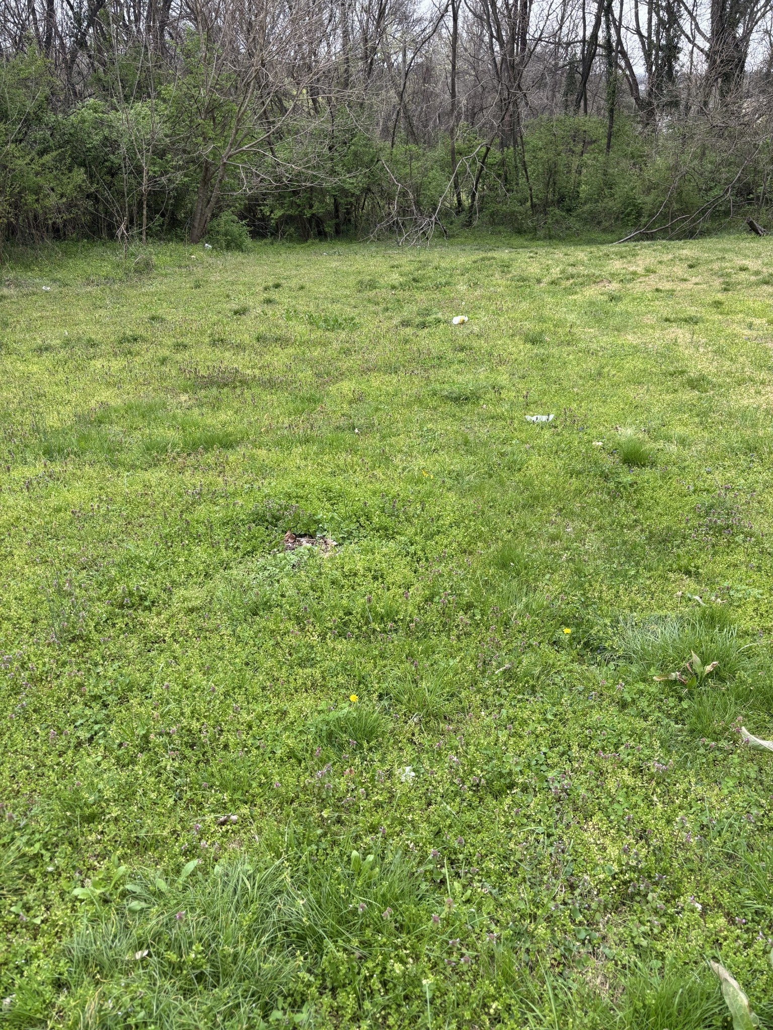 Photo of Listing #3145109