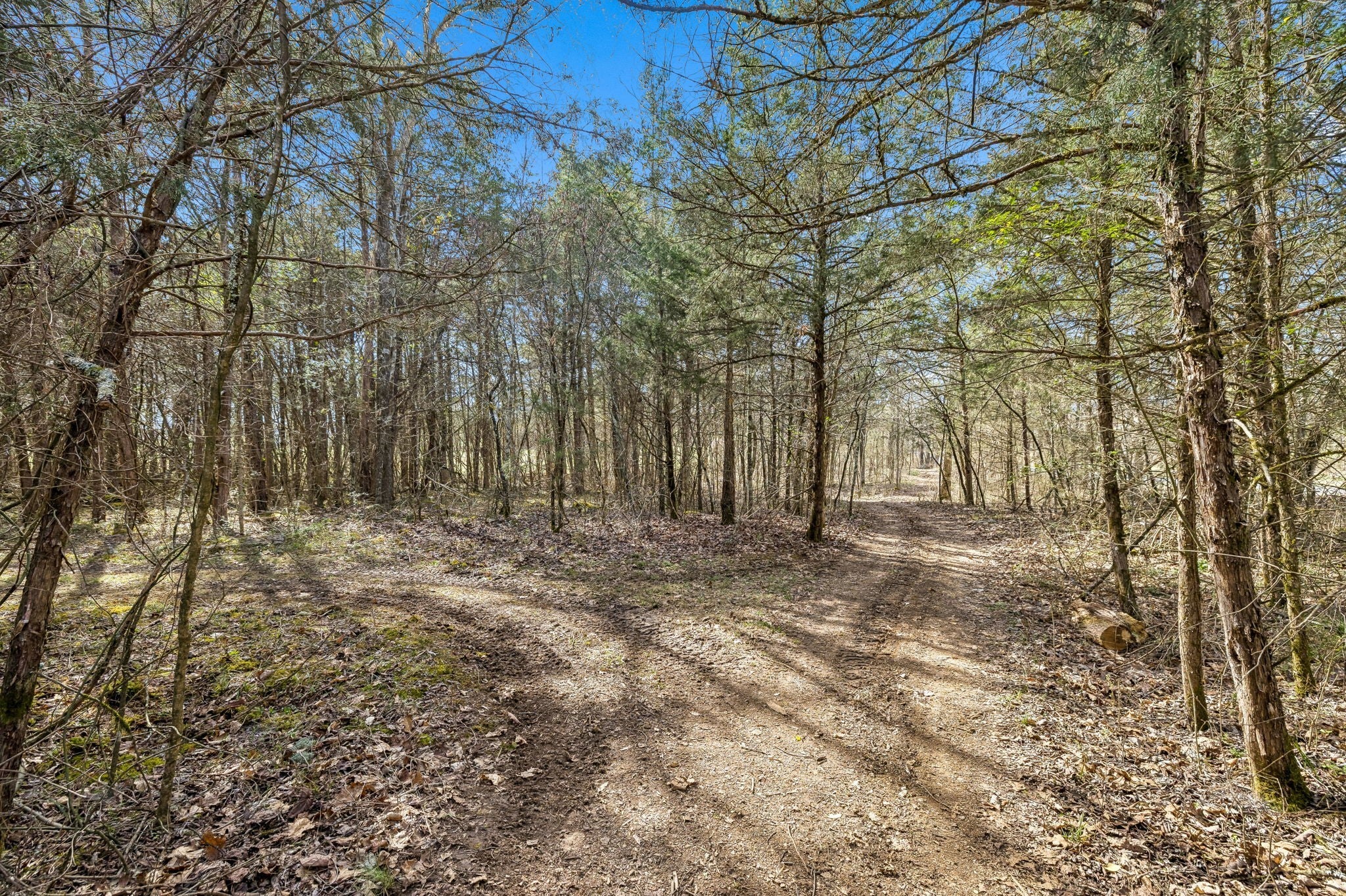 Photo of Listing #3145416