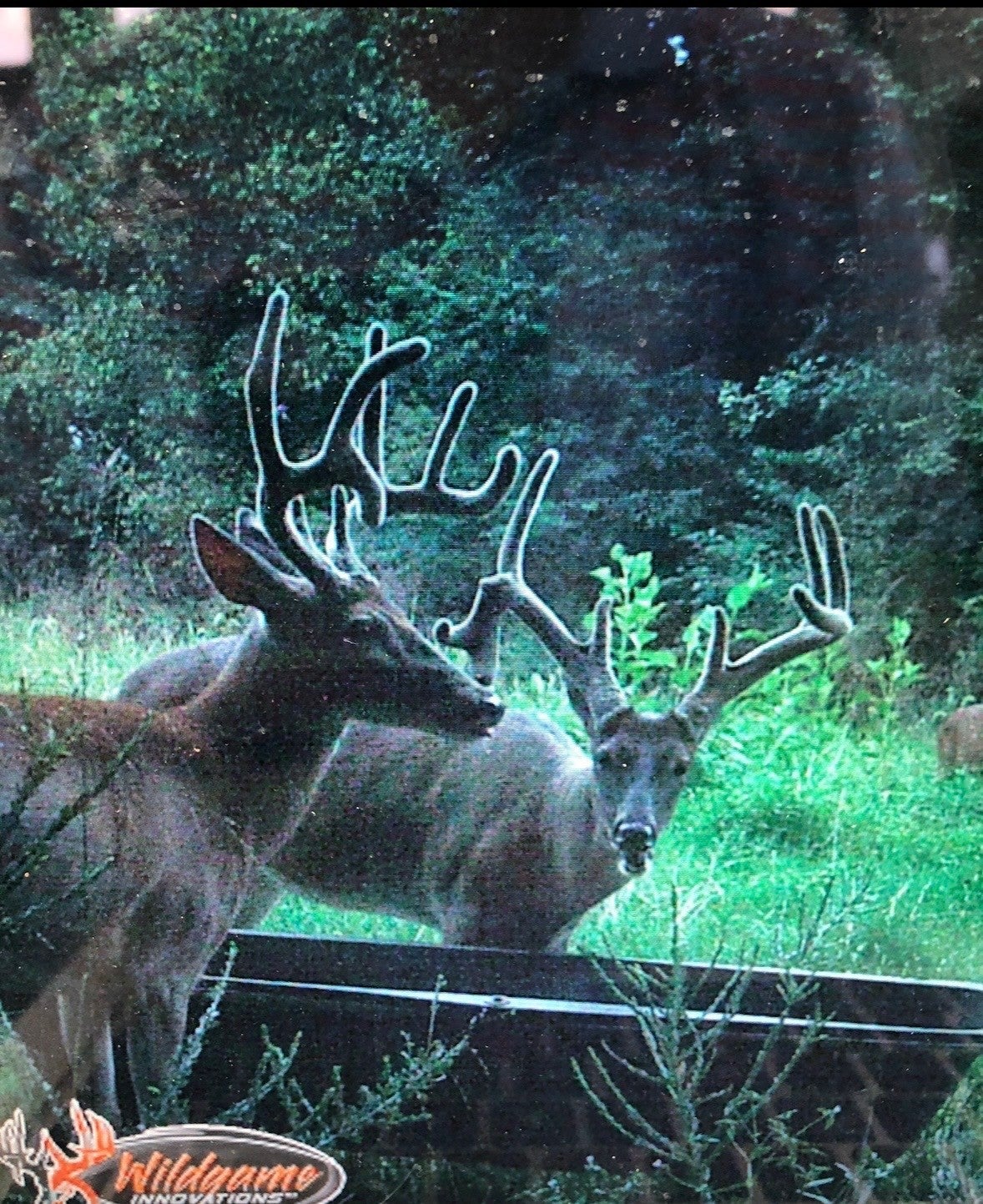 Photo of Listing #3145572