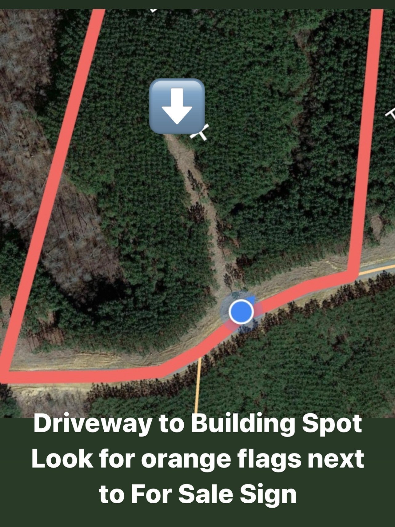 Photo of Listing #3145634