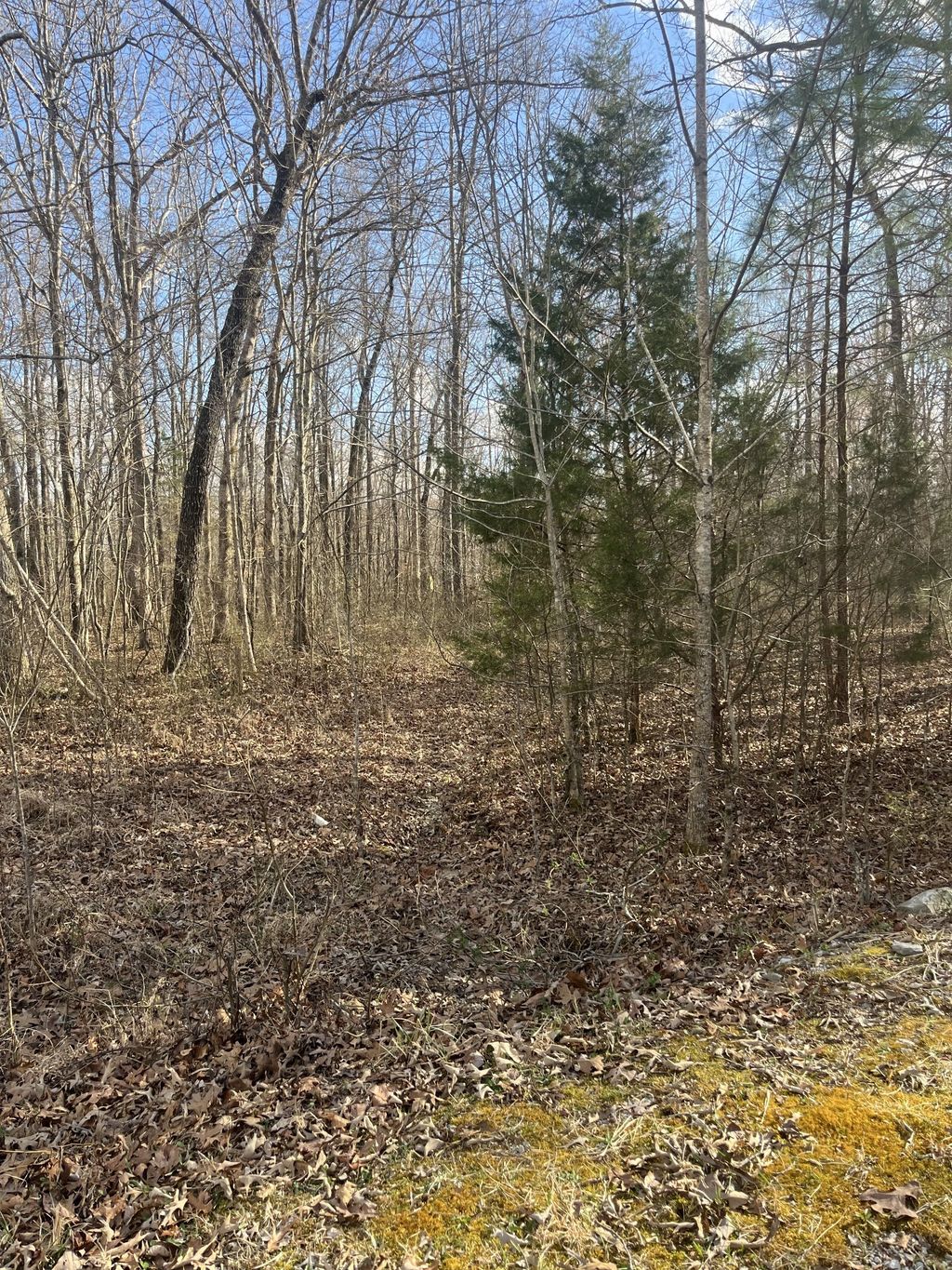 0 Boyton Valley Rd, Manchester