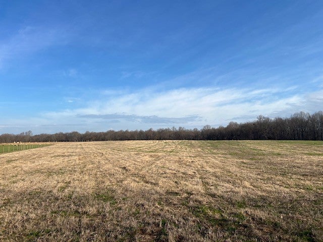 Photo of Listing #3145691