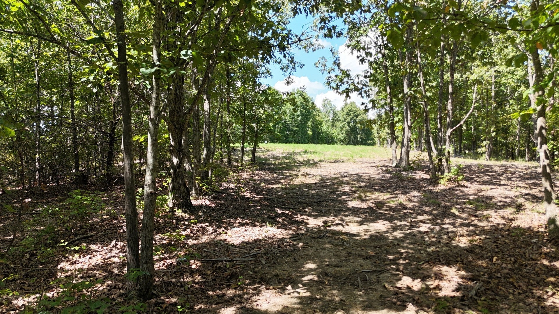 Photo of Listing #3145866