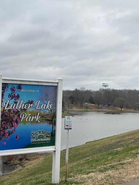 Photo of Listing #3146054