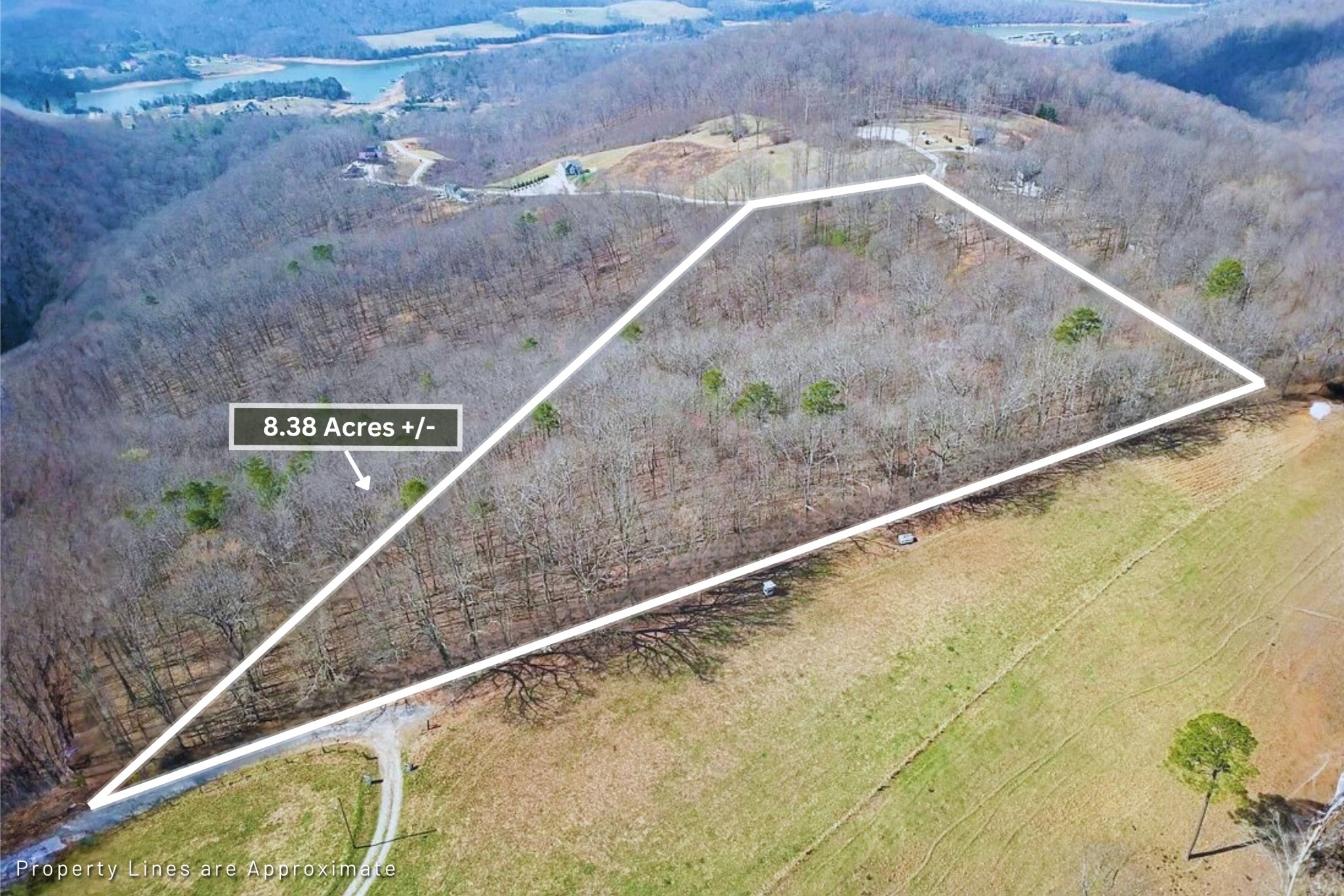 Photo of Listing #3146384