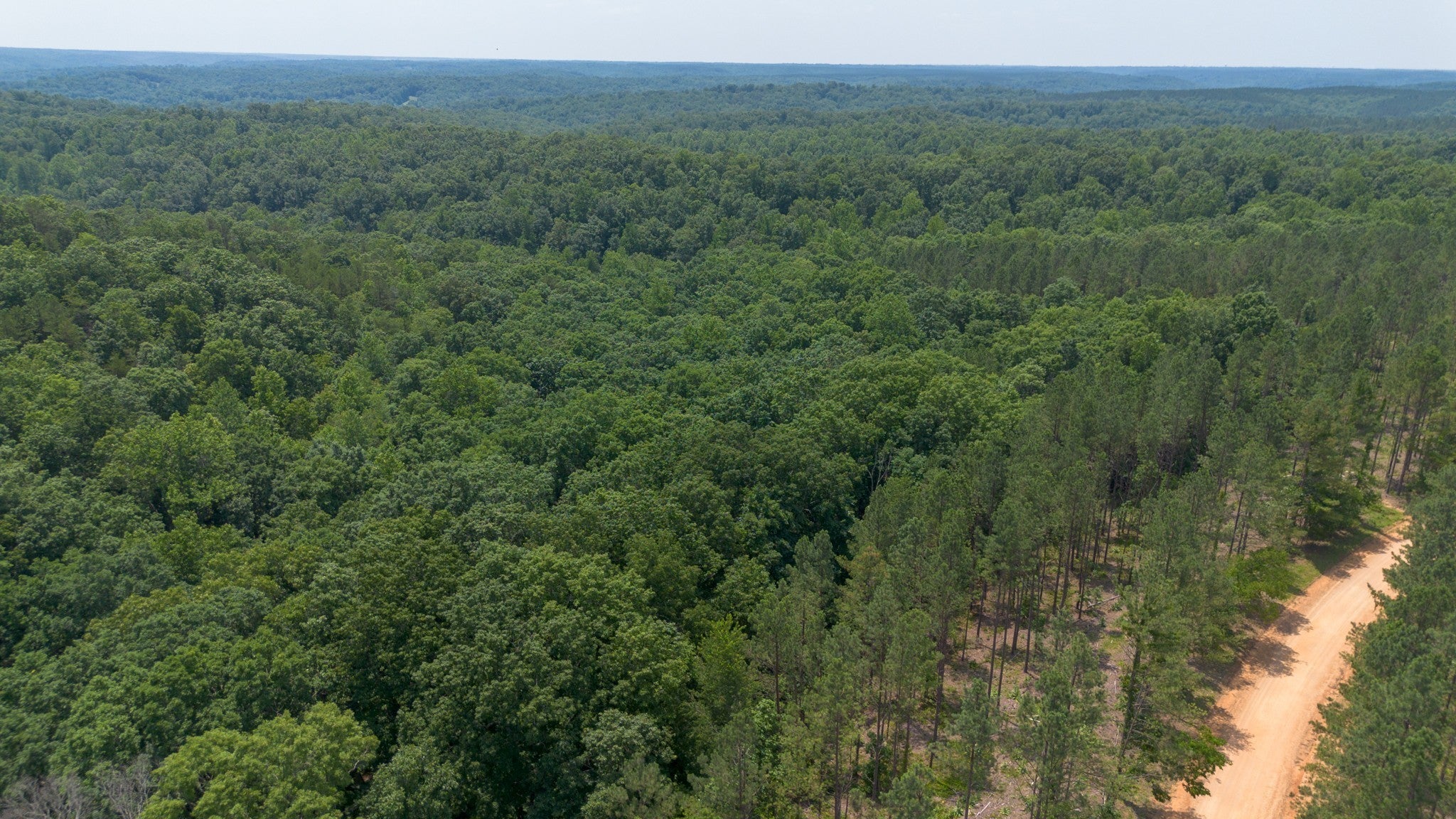 Photo of Listing #3146429