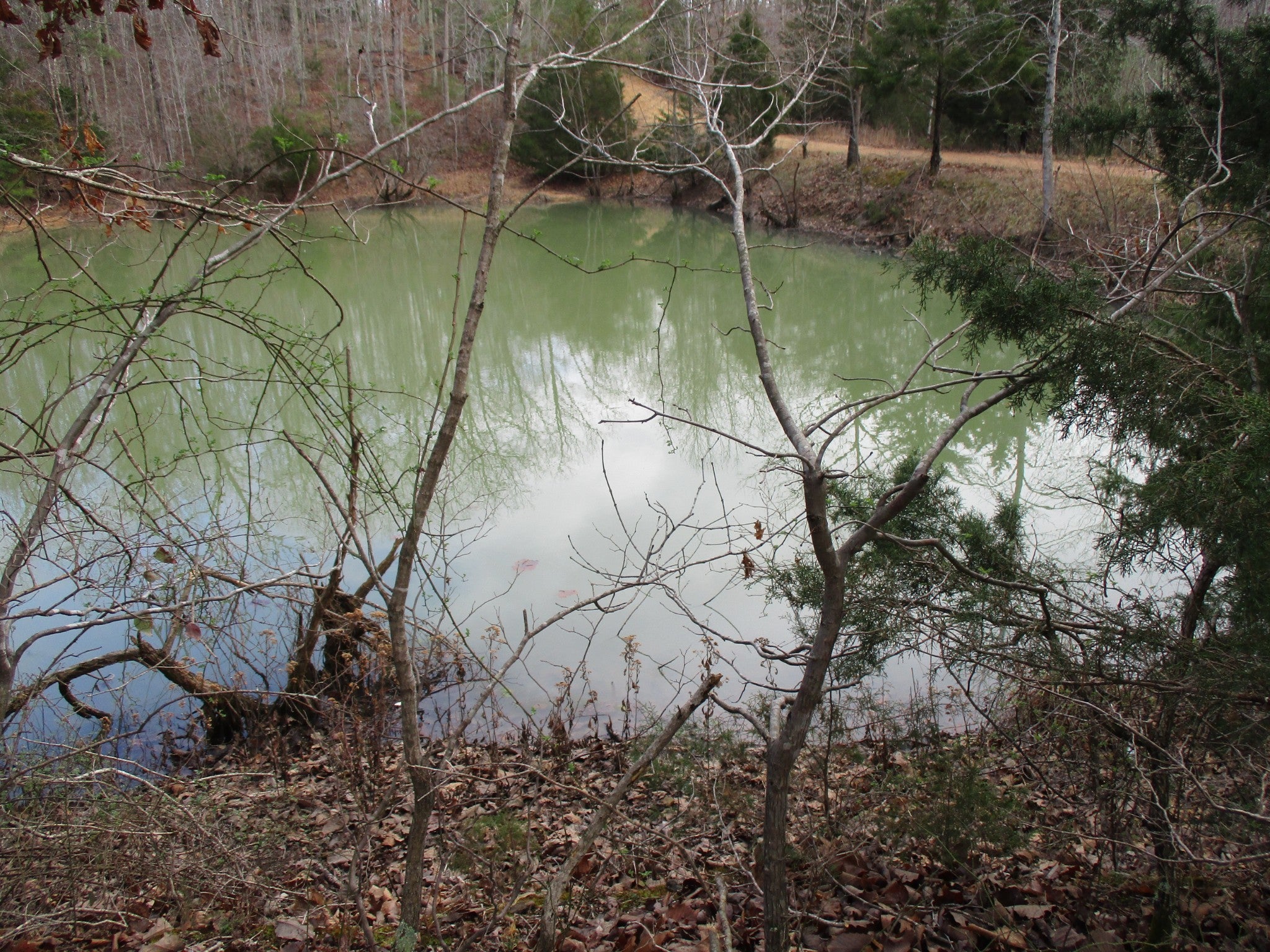 Photo of Listing #3146509