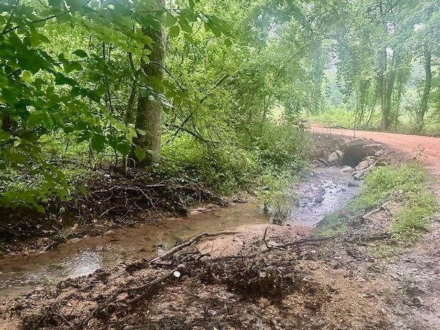 Photo of Listing #3146535