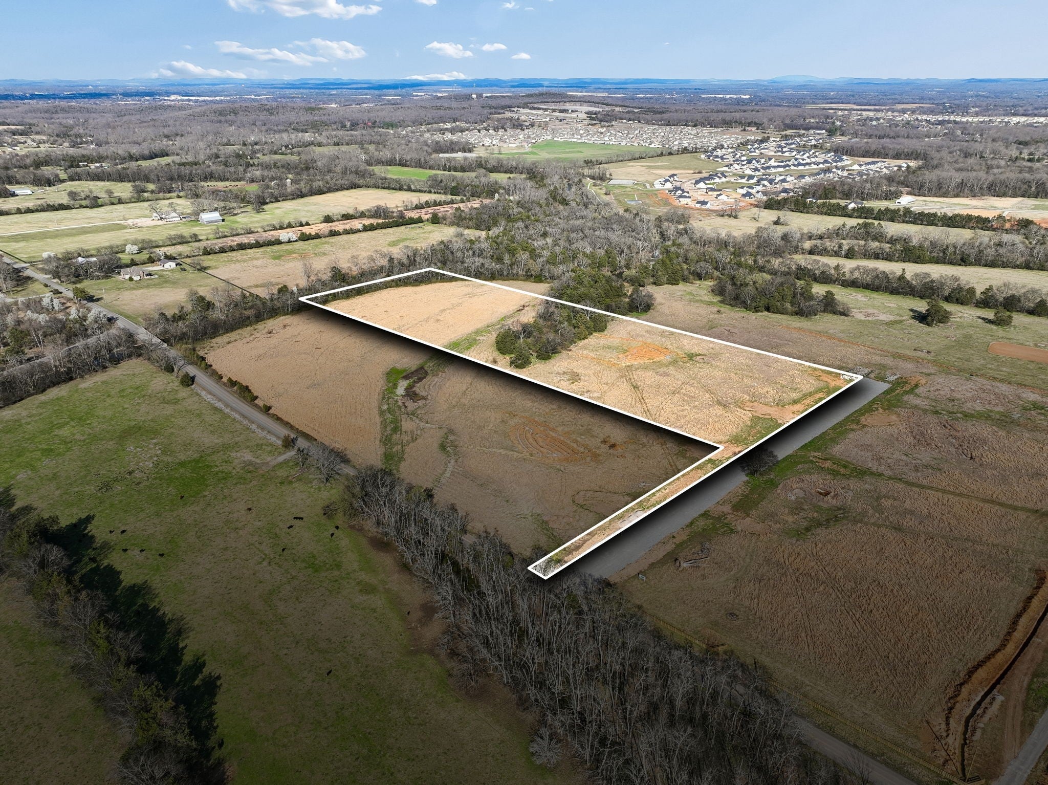 Photo of Listing #3146820