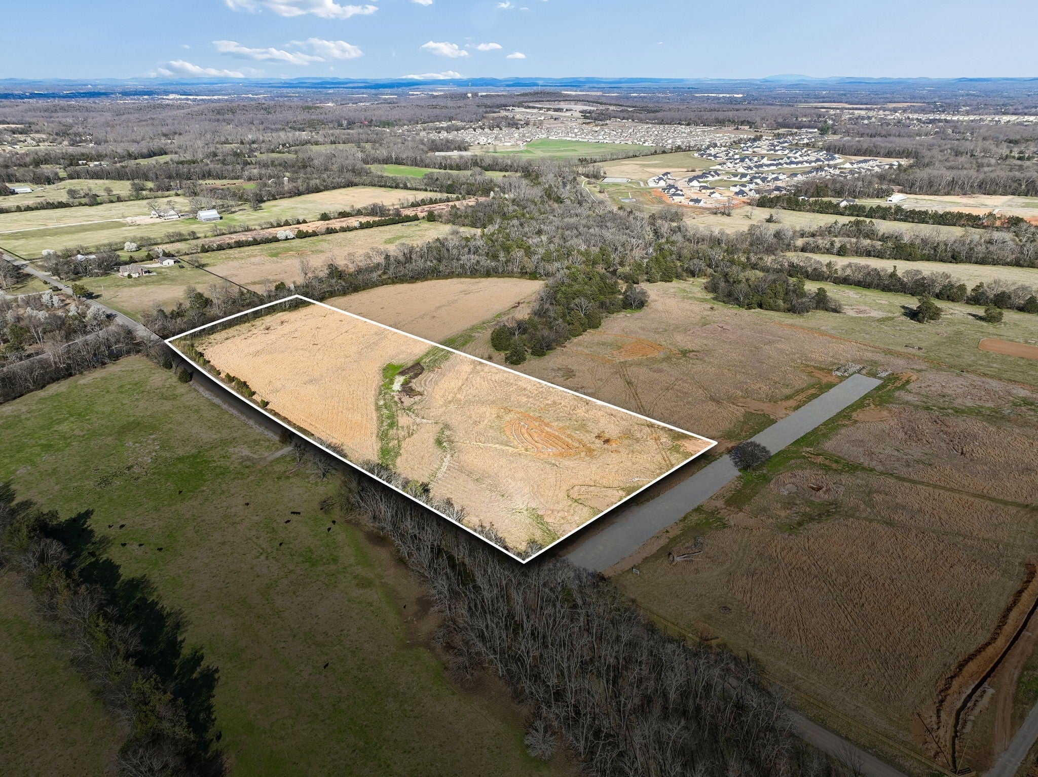 Photo of Listing #3146821