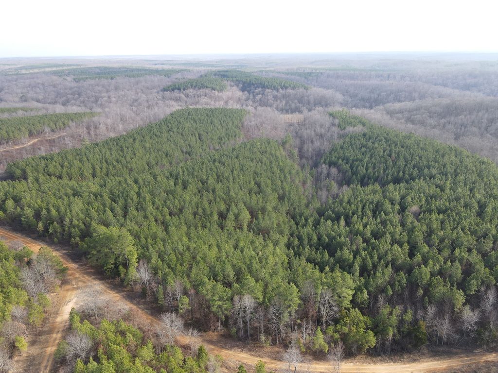 0 North Fork, Stewart