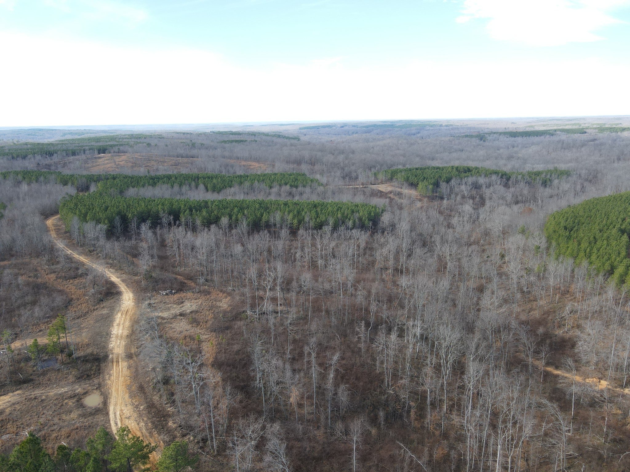 Photo of Listing #3146973