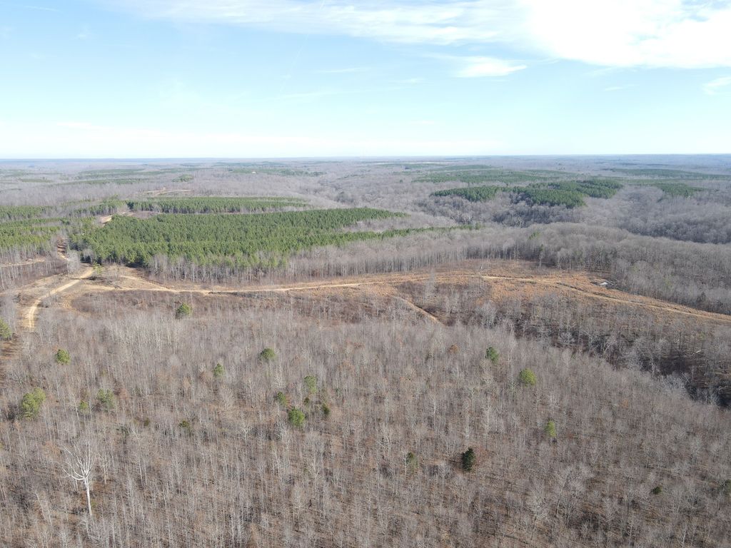 0 North Fork, Stewart