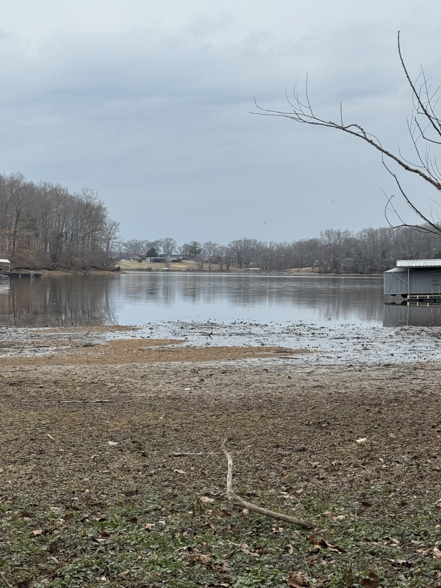 Photo of Listing #3147055