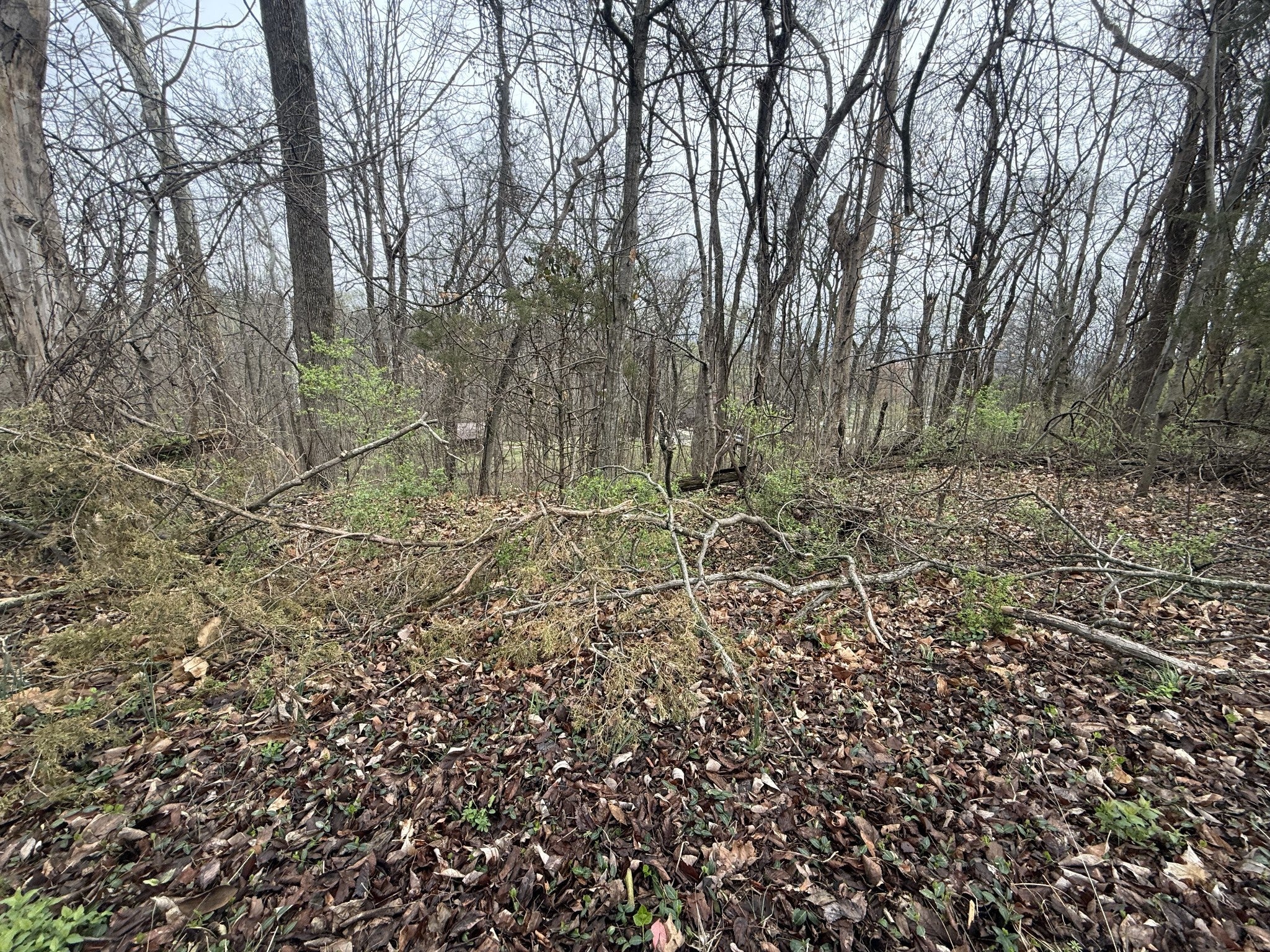 Home for sale in 1915 Appomattox Dr Lebanon, TN