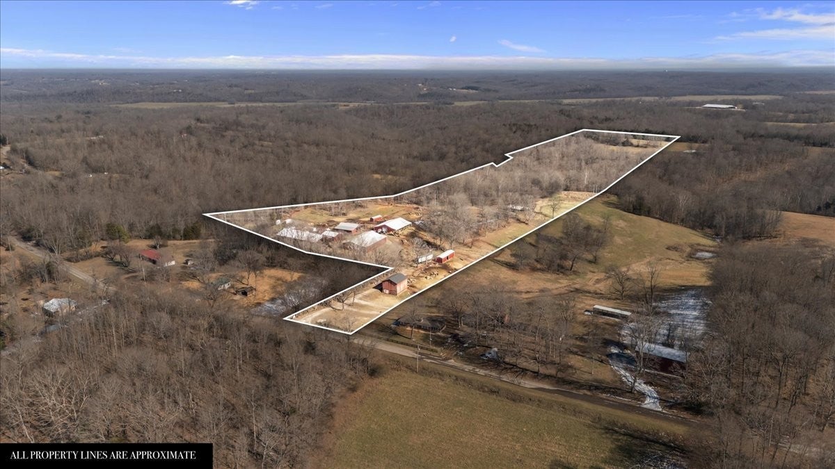 Photo of Listing #3147130