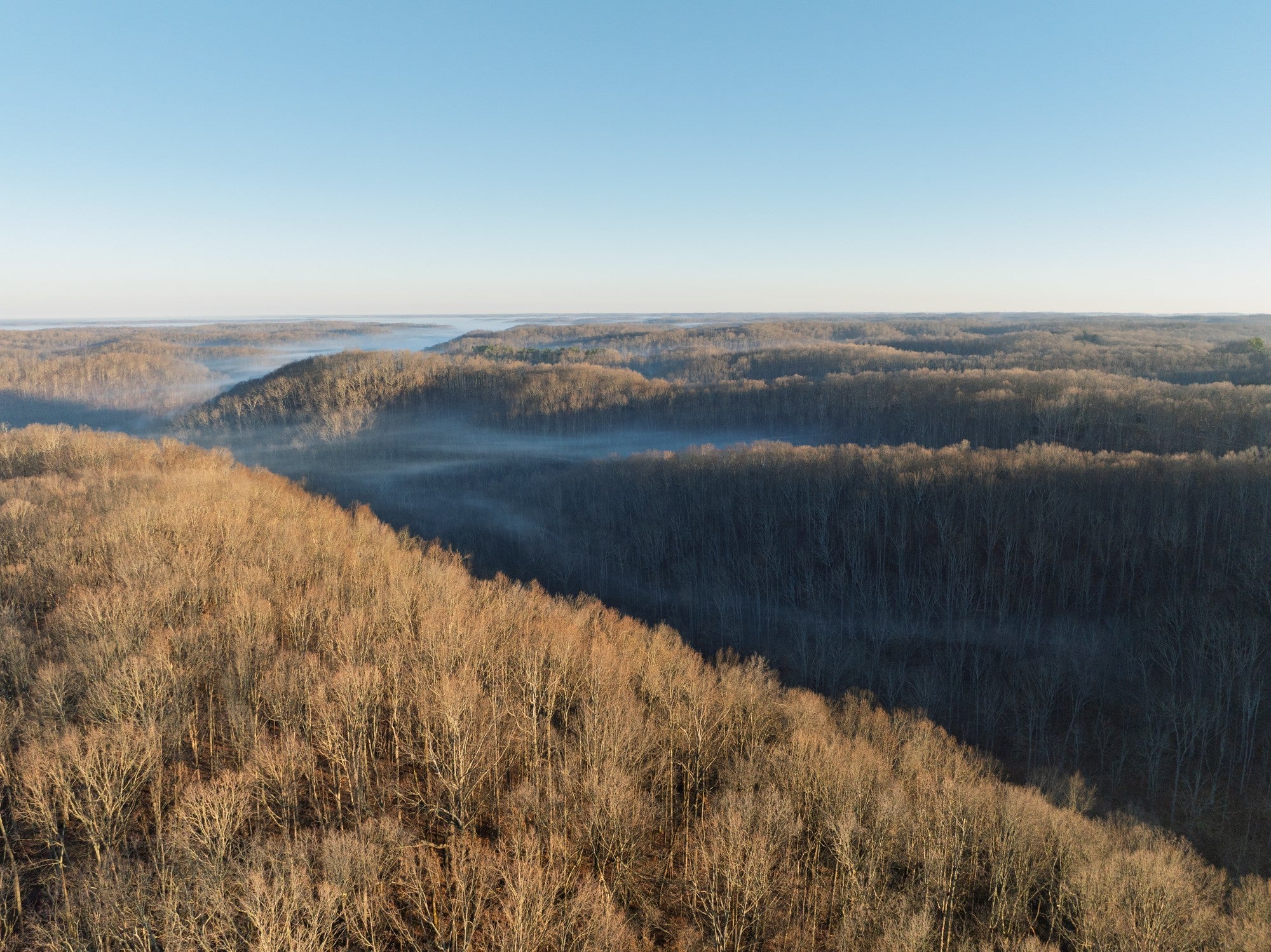 Photo of Listing #3147293