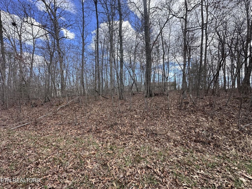 0 Tama Trace, Crossville