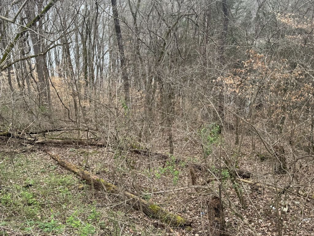 0 Lakeside Dr, Smithville