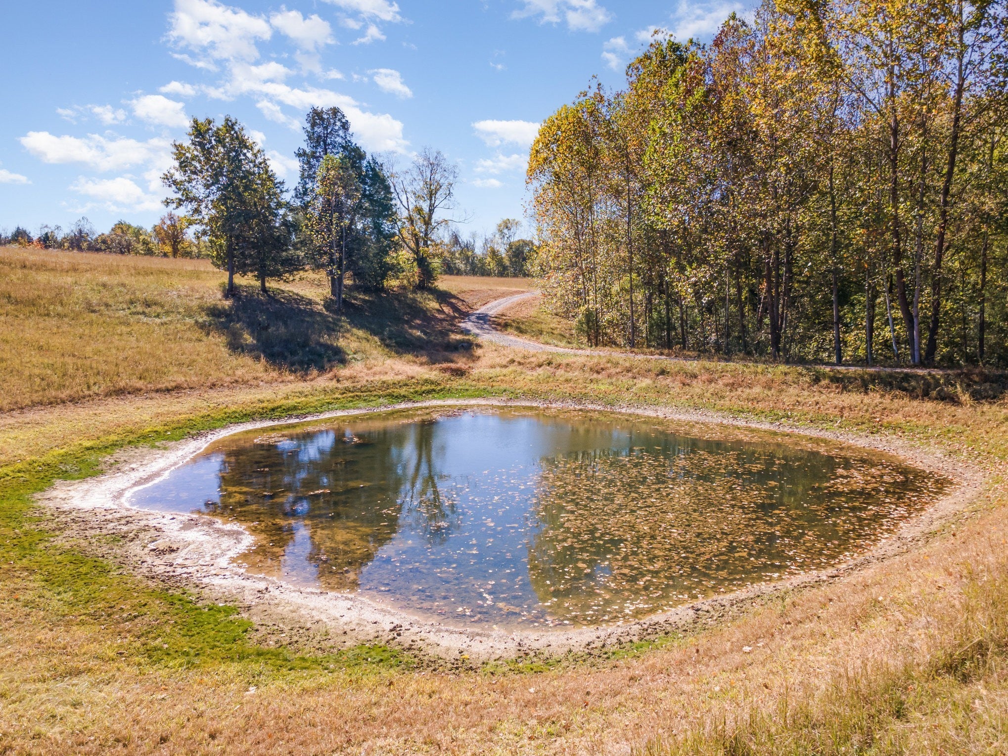 Photo of Listing #3147368