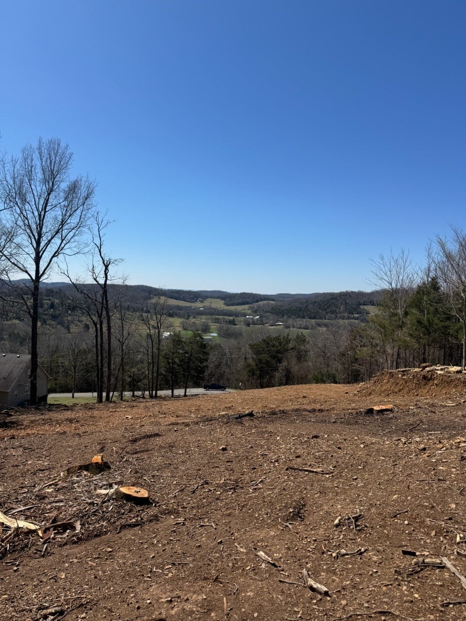 Photo of Listing #3147384