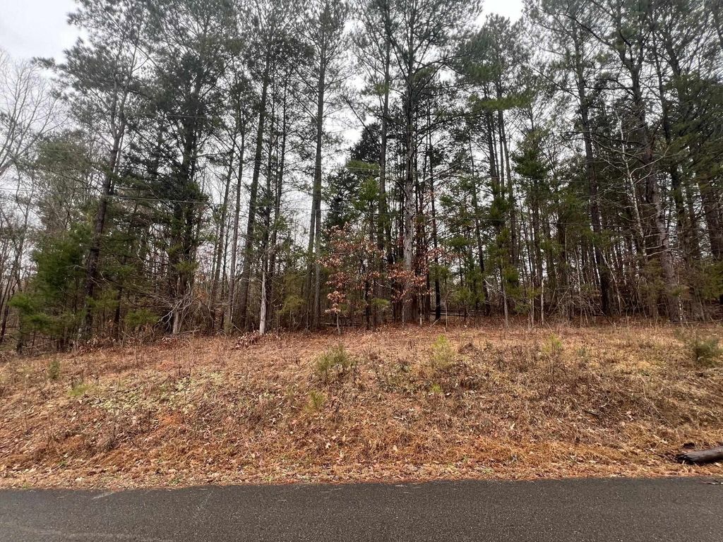 156 Iron Horse Trl, Parsons