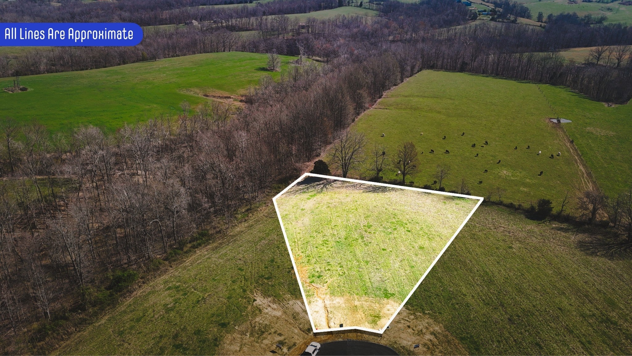 Photo of Listing #3148758