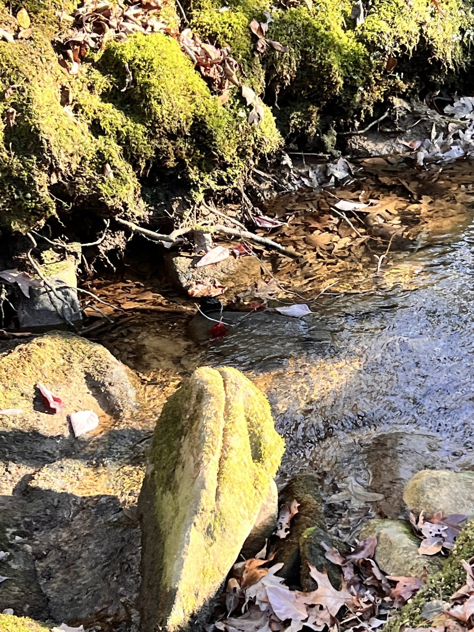 Photo of Listing #3149172