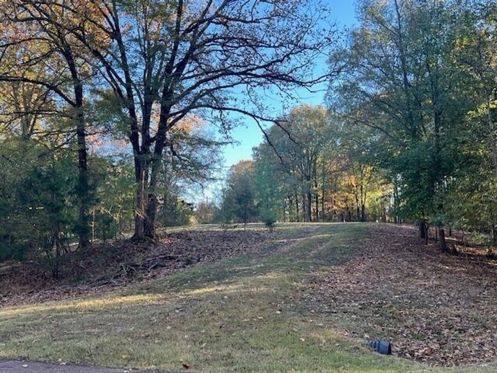9021 E Planters View Cv, Memphis